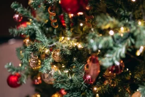 クリスマス ドライブ